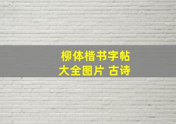 柳体楷书字帖大全图片 古诗